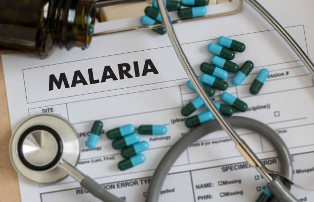 causes of malaria's rapid spread